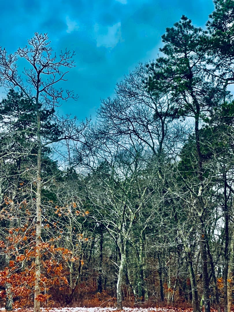2 Old Farms Trail