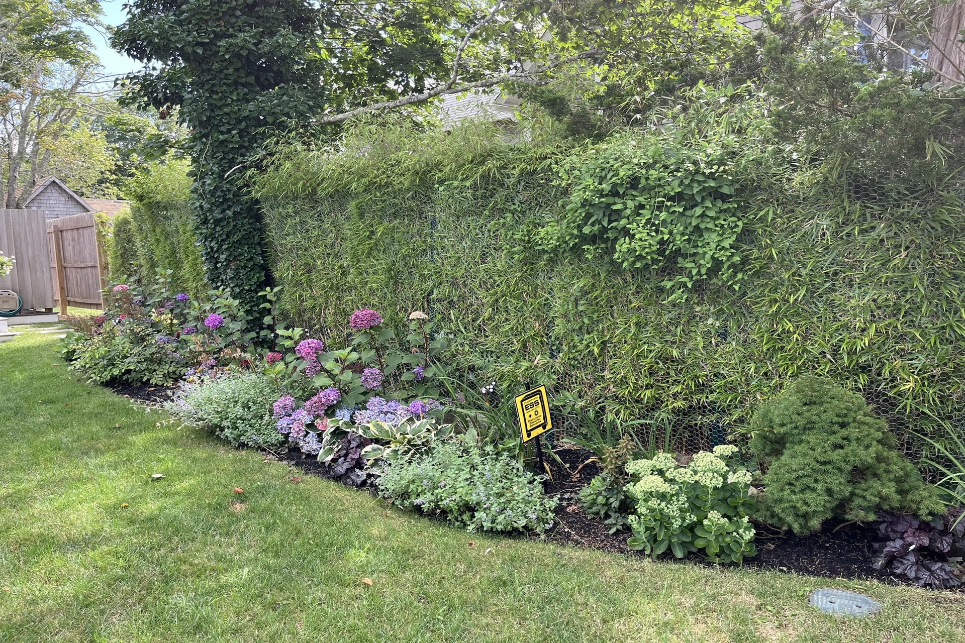 image_0