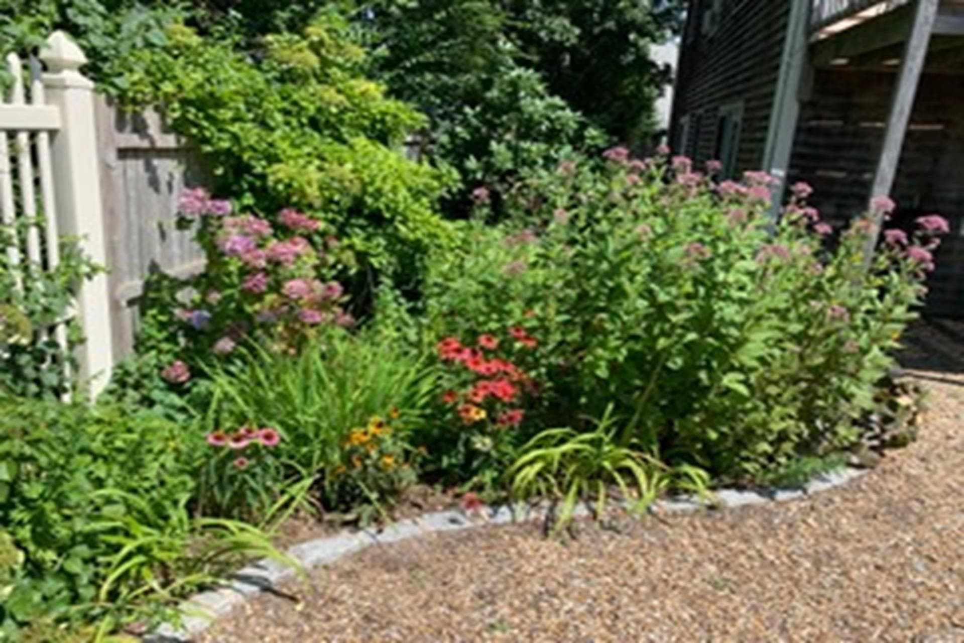 image_0