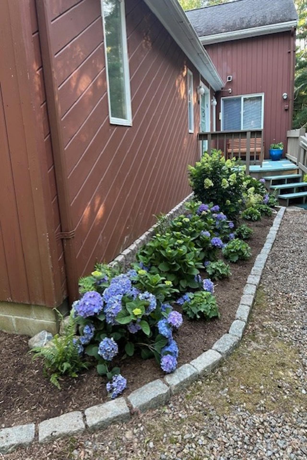 image_1