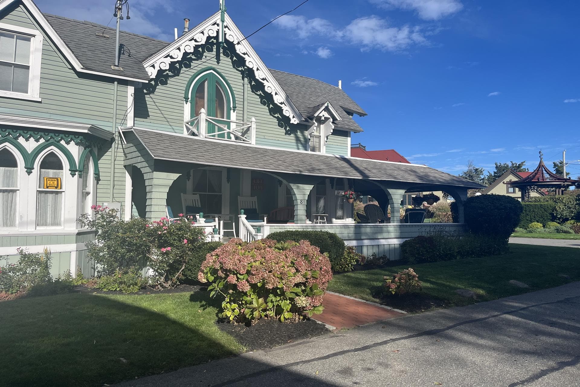 Vineyard Beauty near Ocean Park