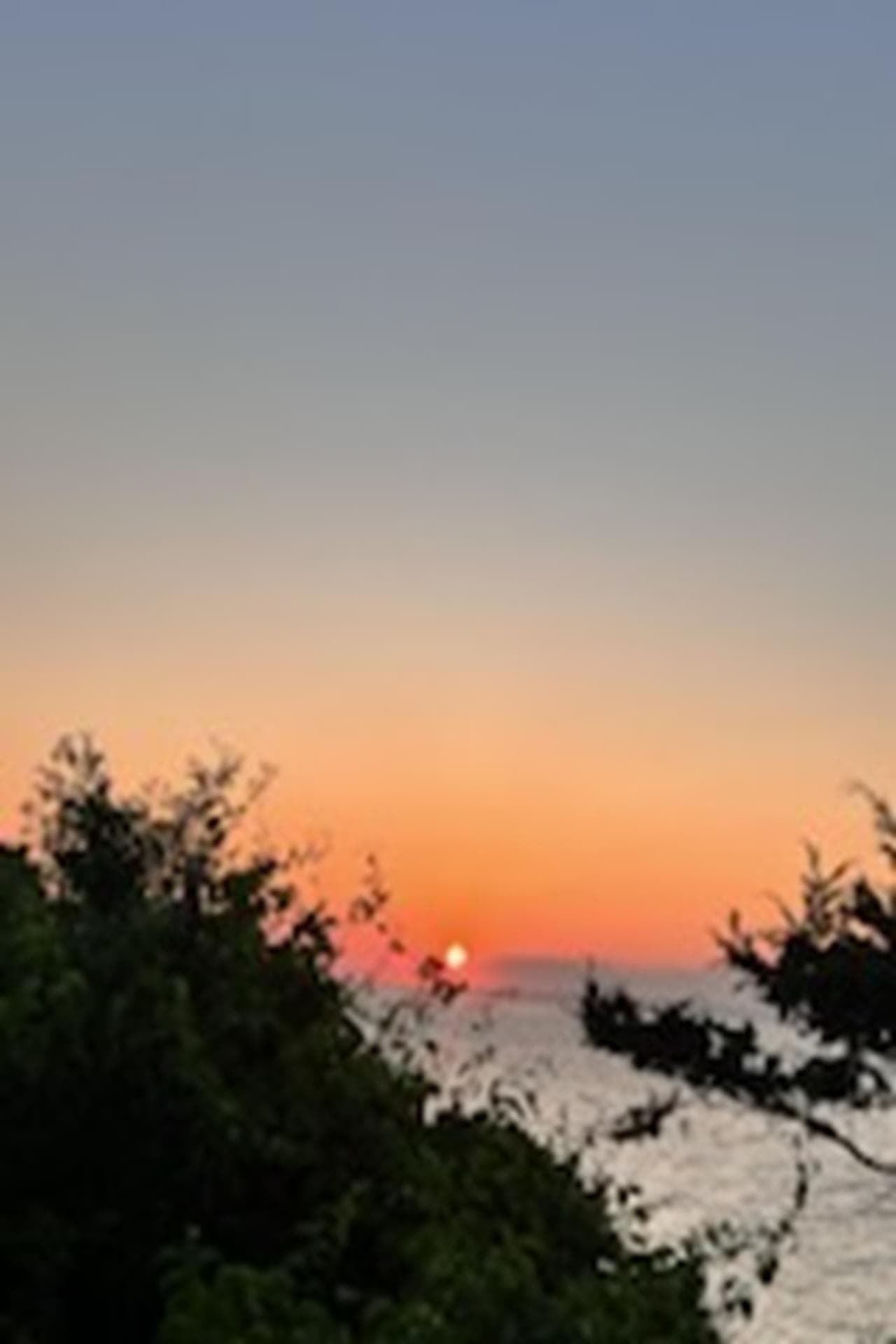 image_0