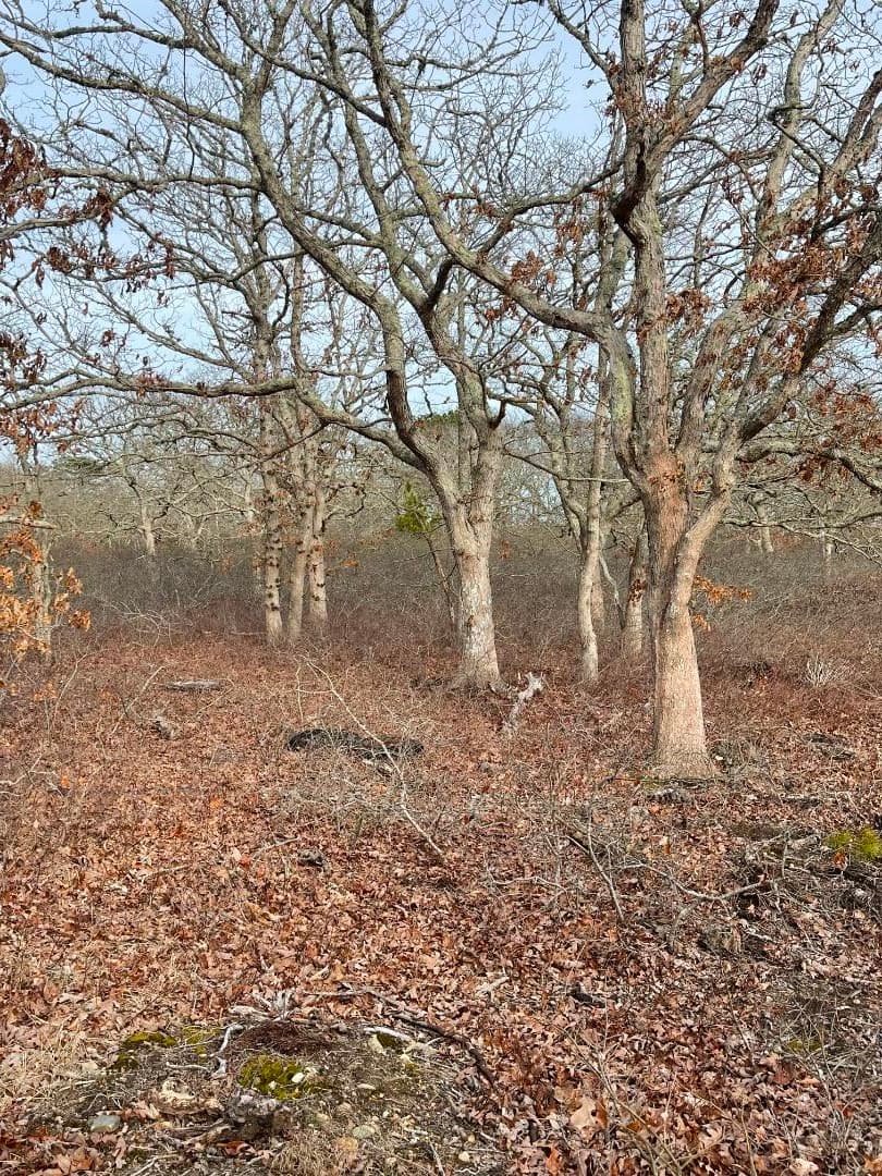 22 Bramble Path