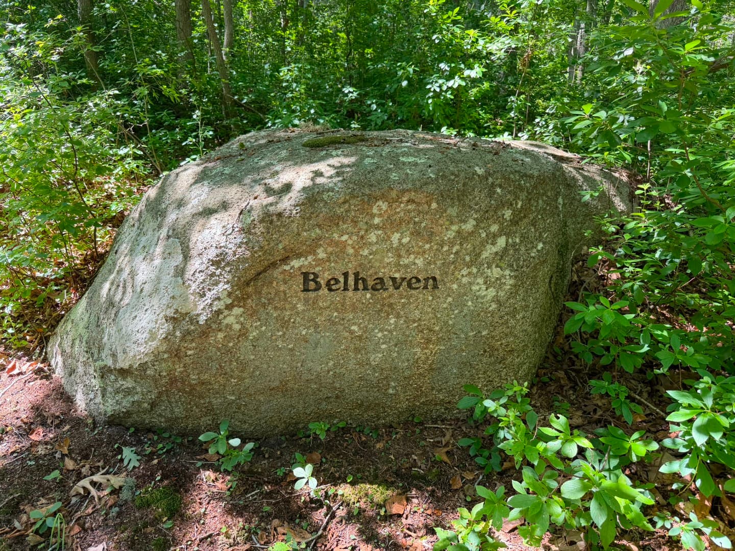 0 North Road/15 Belhaven Way